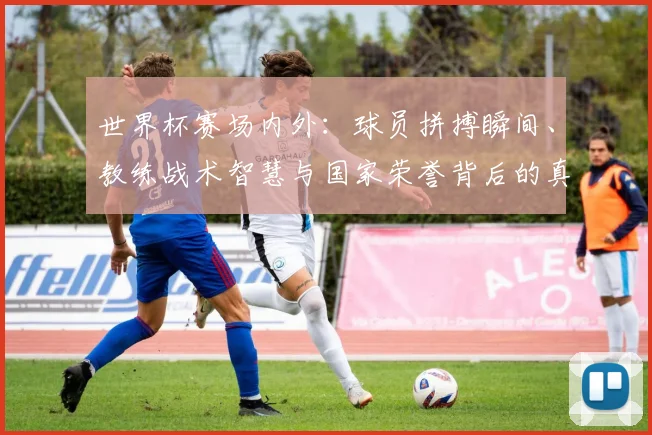 世界杯赛场内外:球员拼搏瞬间、教练战术智慧与国家荣誉背后的真实故事