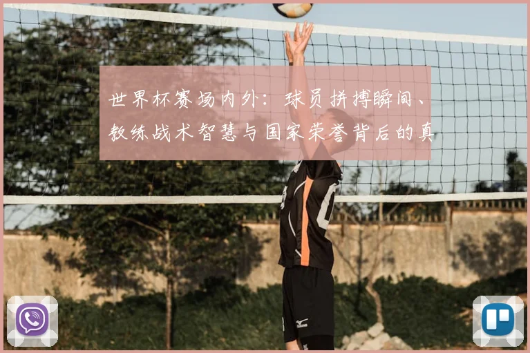 世界杯赛场内外：球员拼搏瞬间、教练战术智慧与国家荣誉背后的真实故事